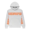 Sp5der Grey Arachnophobia Hoodie 555 555